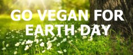 7 Reasons Why You Should Go Vegan on Earth Day!