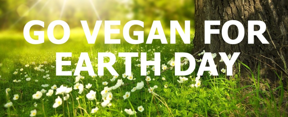7 Reasons Why You Should Go Vegan on Earth Day!